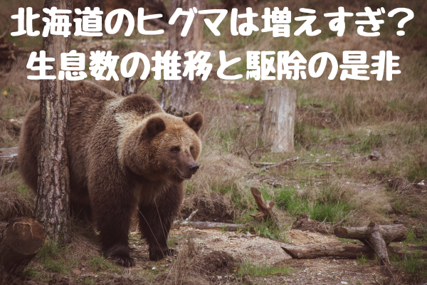 北海道のヒグマは増えすぎ？生息数の推移と駆除の是非