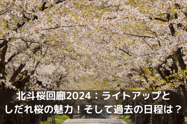 北斗桜回廊2024：ライトアップとしだれ桜の魅力！そして過去の日程は？