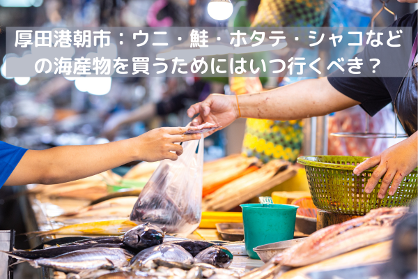 厚田港朝市：ウニ・鮭・ホタテ・シャコを買うためにはいつ行くべき？